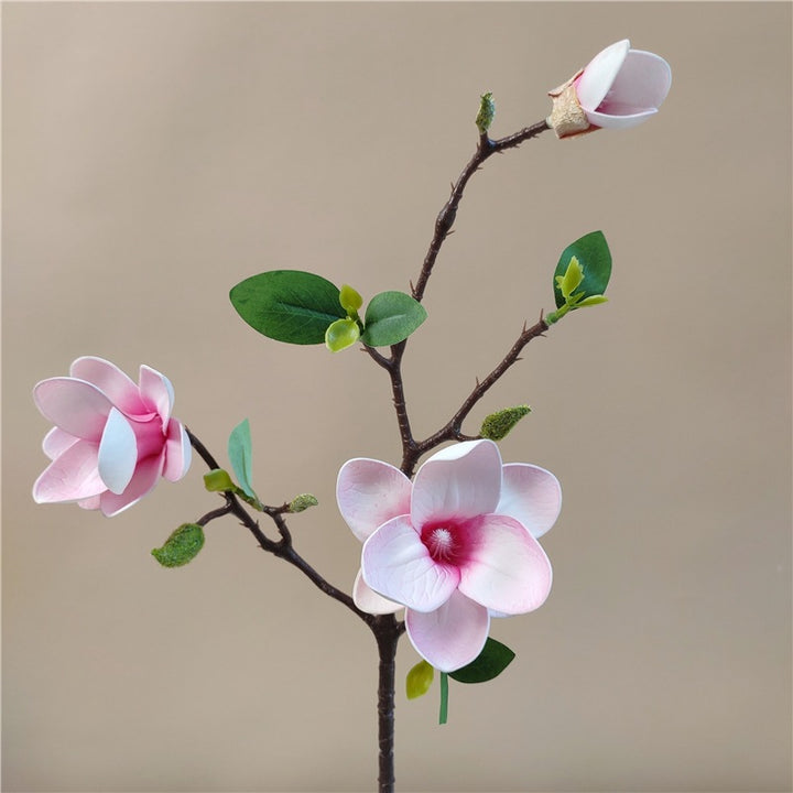 Elegant Silky Magnolia Flower Branch