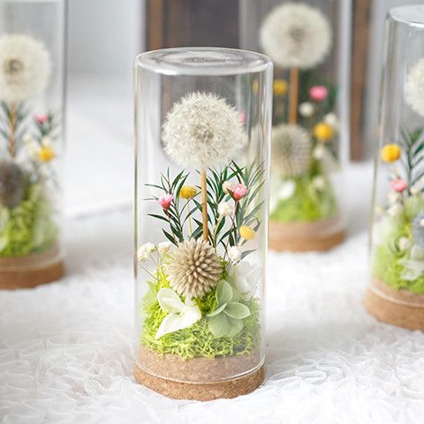Decorative Dandelion Display