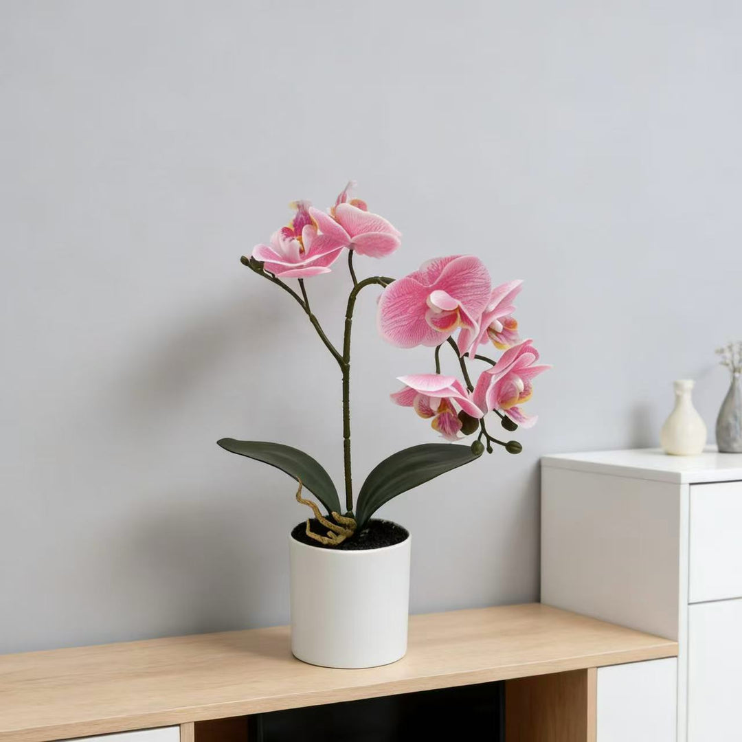 Lifelike Phalaenopsis Orchid Plant Arrangement