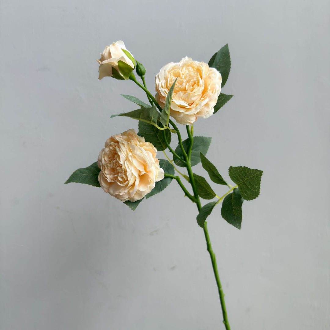 Modern Floral Decor