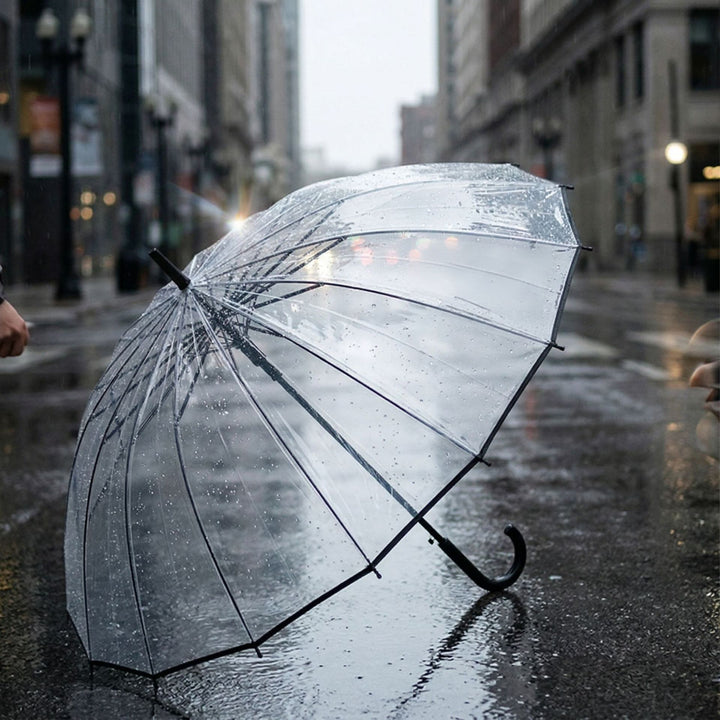Women's Transparent Umbrella Kalsten