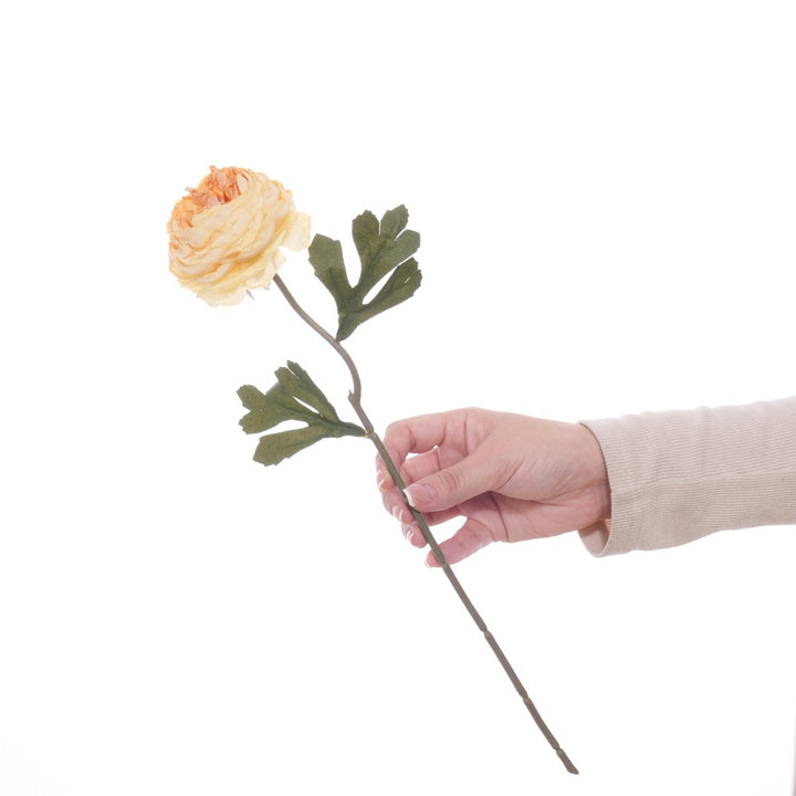 Realistic Floral Stem with Detailed Petals