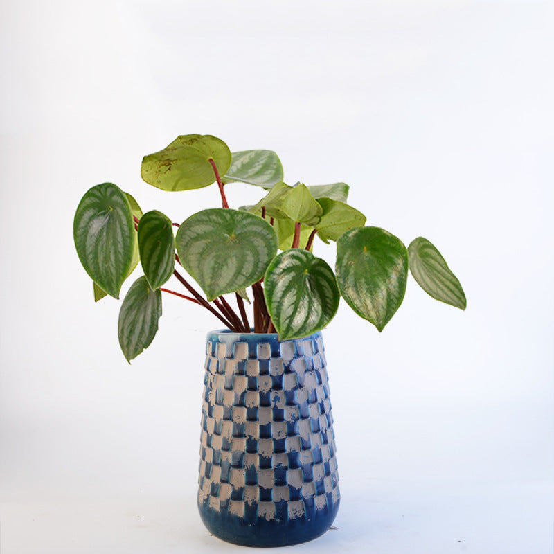 Decorative Flower Pots Kalsten