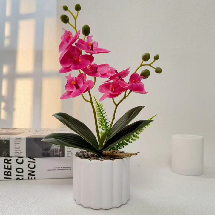 Home Decorative Artificial Orchid for Indoor Decorative Display