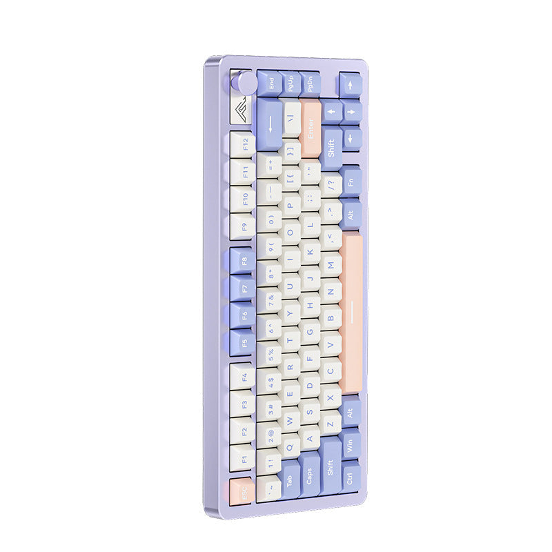 Compact Ergonomic Mechanical Keyboard Kalsten