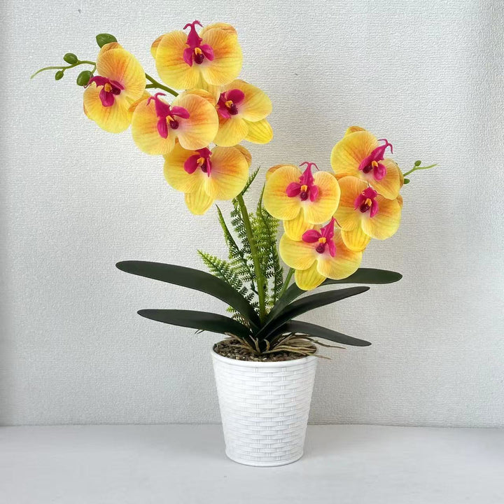 Decorative Orchid Plant for Indoor Home Decor