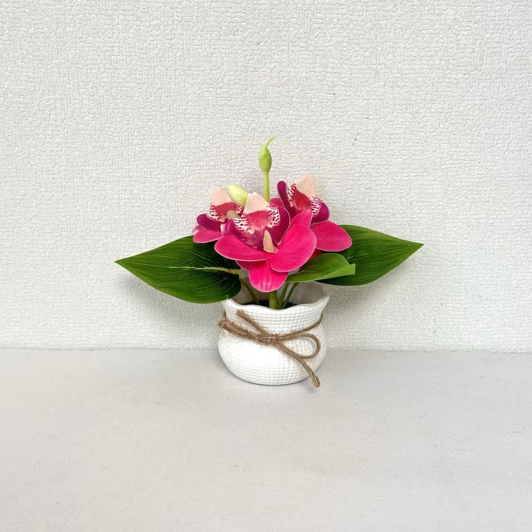 Decorative Miniature Orchid Arrangement