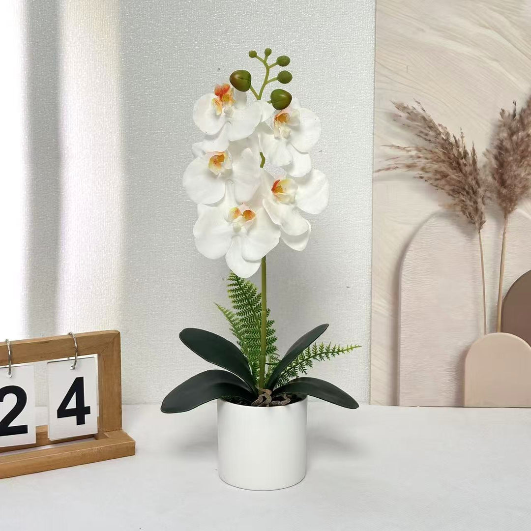 Artificial Orchid Plant for Decorative Indoor Display
