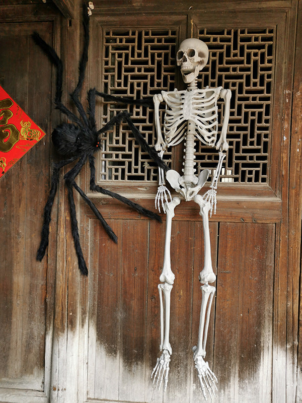 Realistic Decorative Skeleton Figures Kalsten