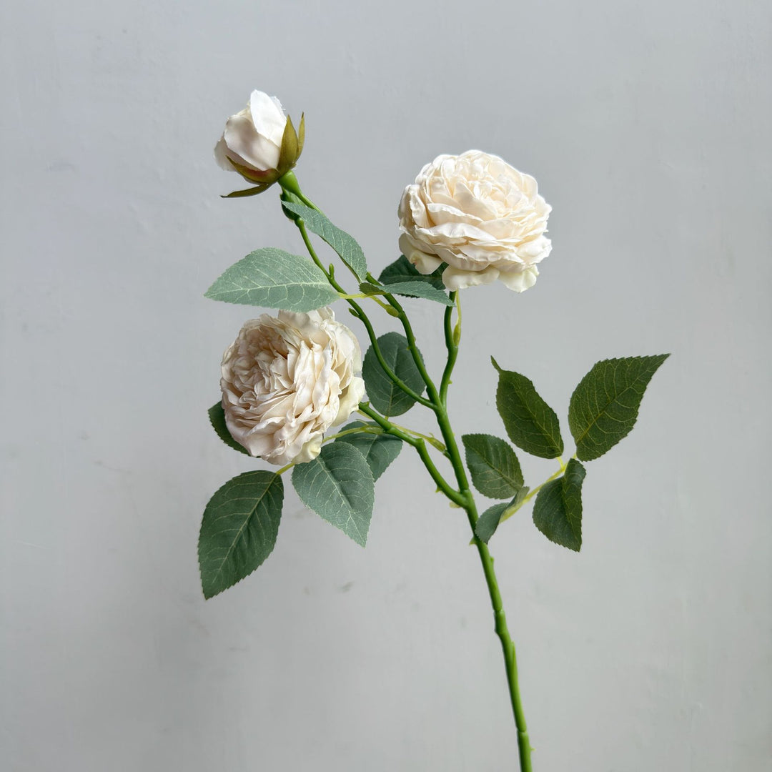 Modern Floral Decor