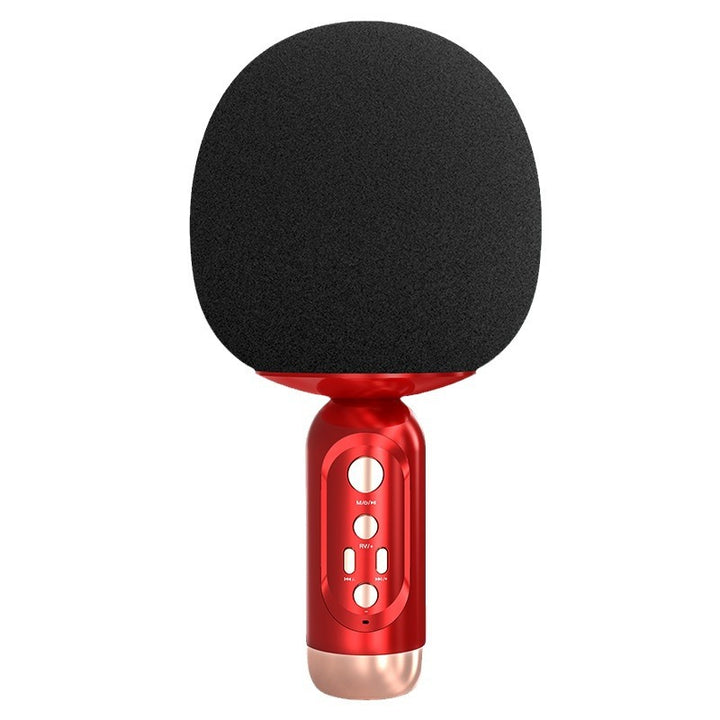 Portable Karaoke Microphone Kalsten