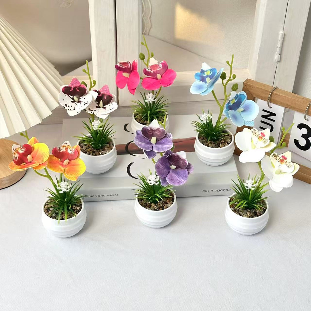 Decorative Miniature Orchid Centerpiece
