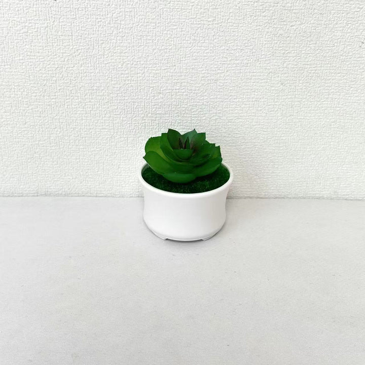 Lifelike Succulent Plant Arrangement