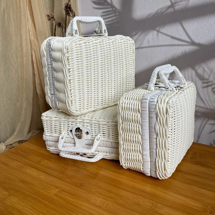 Women braided cosmetic and storage case Kalsten