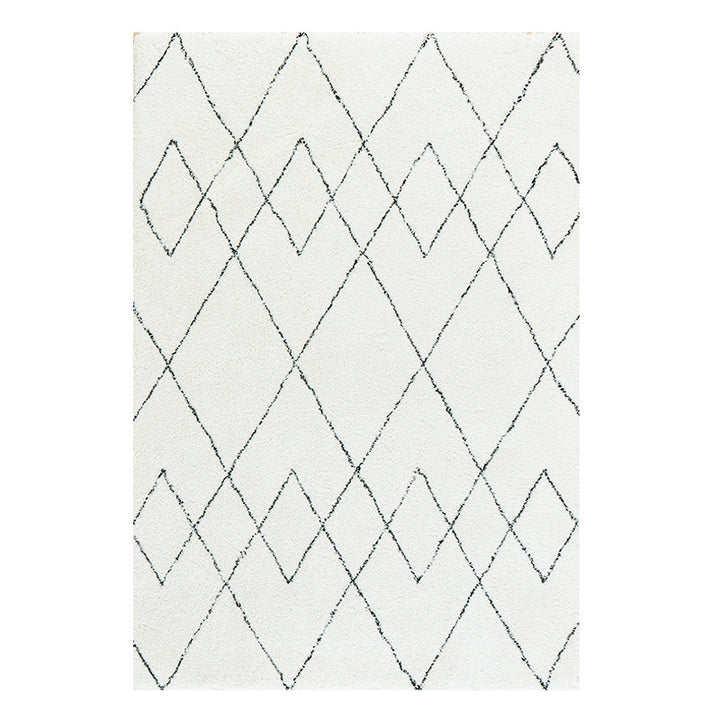 Home Décor Area Rug for Indoor Display
