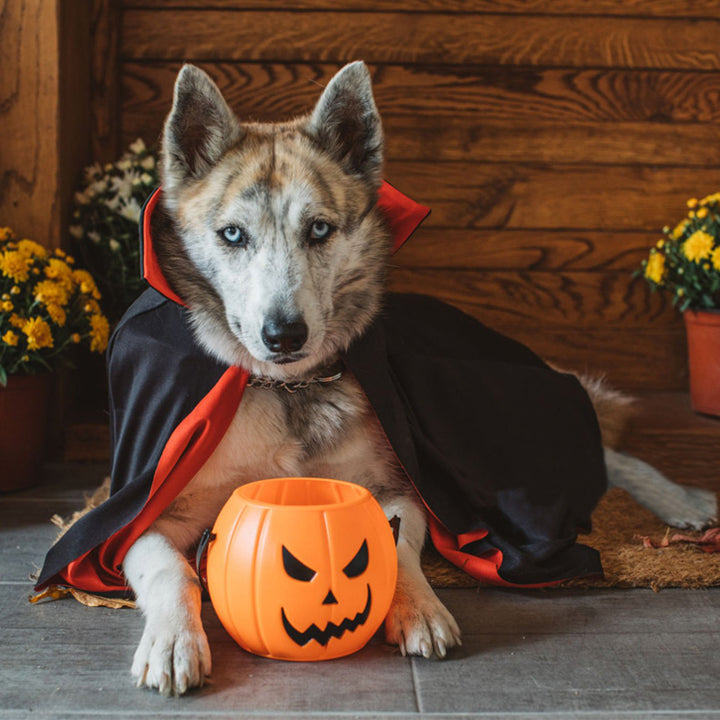 Hooded cape for costume parties