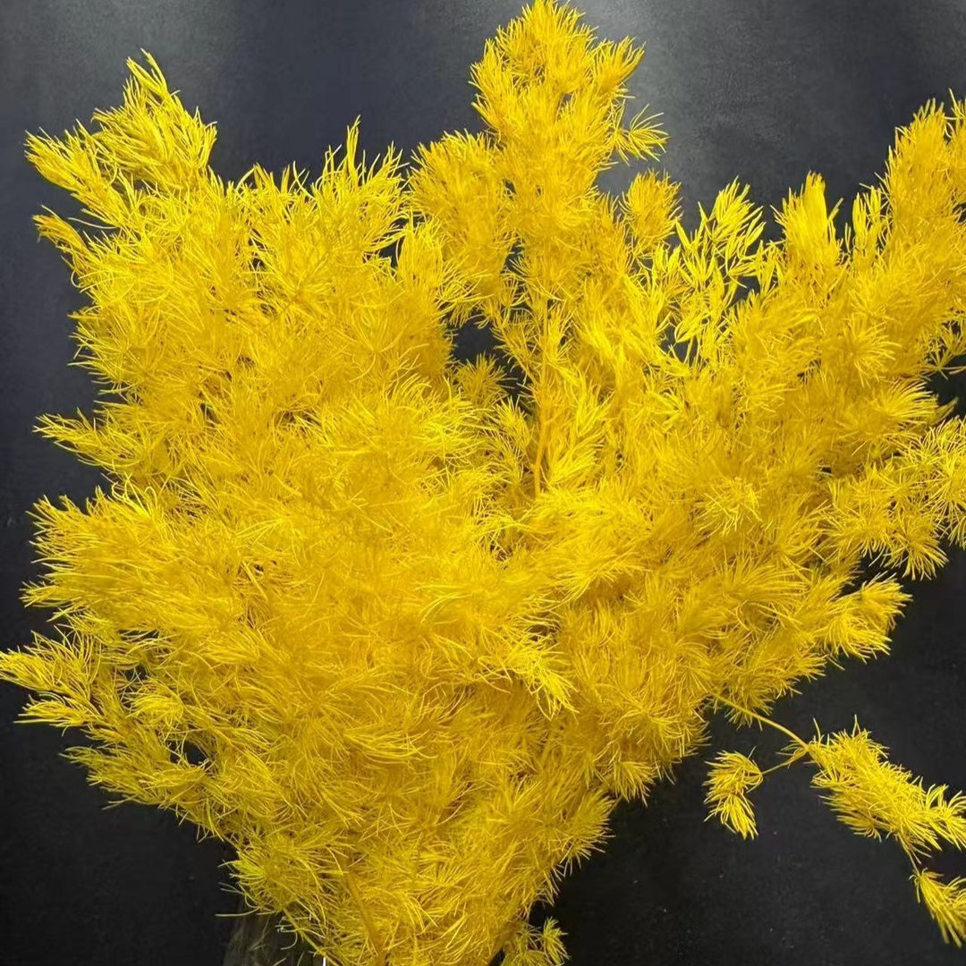 Decorative Dried Foliage Arrangement