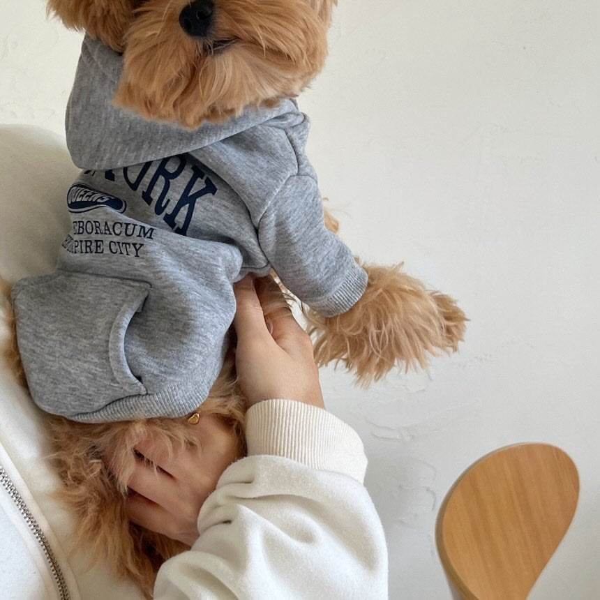 Small Dog Cotton Fleece Hoodie with Graphic New York Queens Print