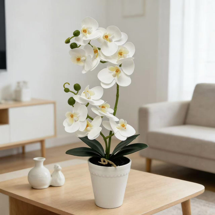 Elegant Faux Orchid Plant Display