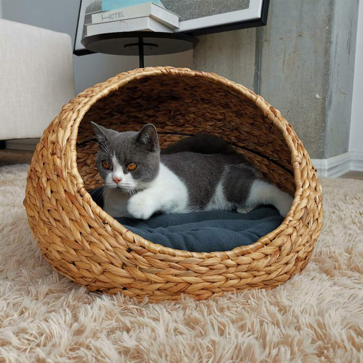 Designer Cat Bed Kalsten