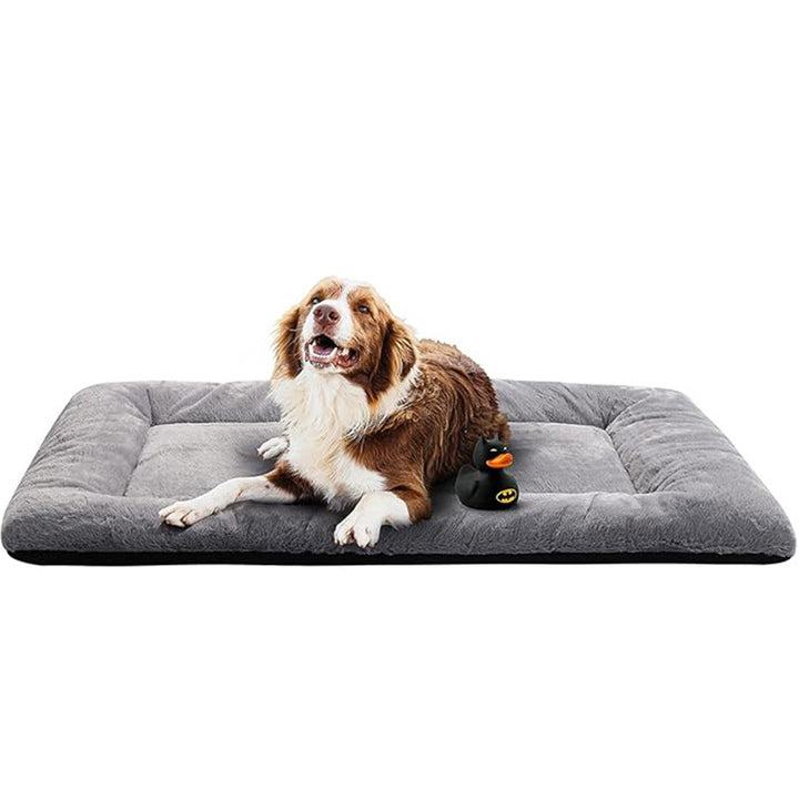 Comfort   Dog Bed