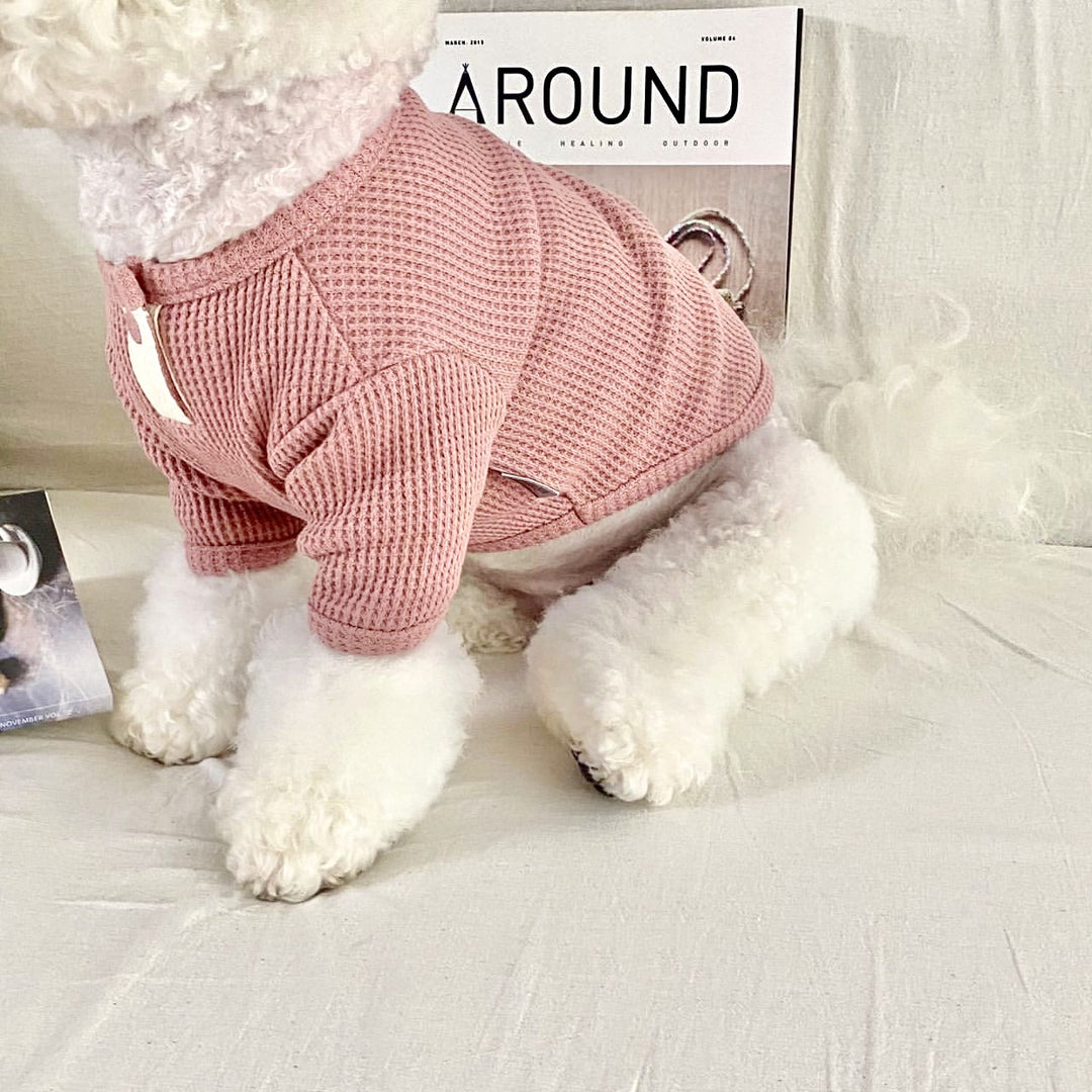 Waffle Knit Cozy Dog Sweater with Short Sleeves and Stretch Ribbed Trim