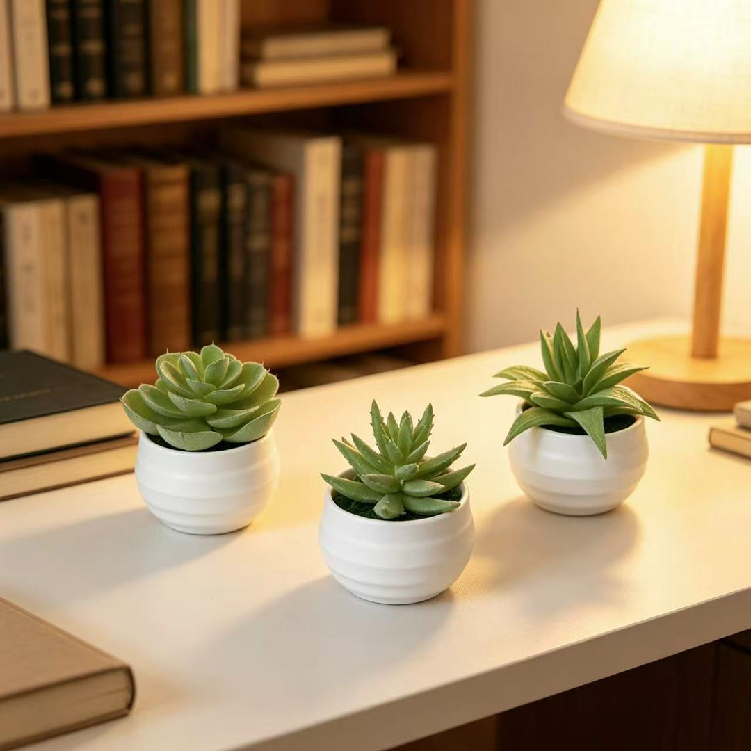 Lifelike Potted Succulent Plant