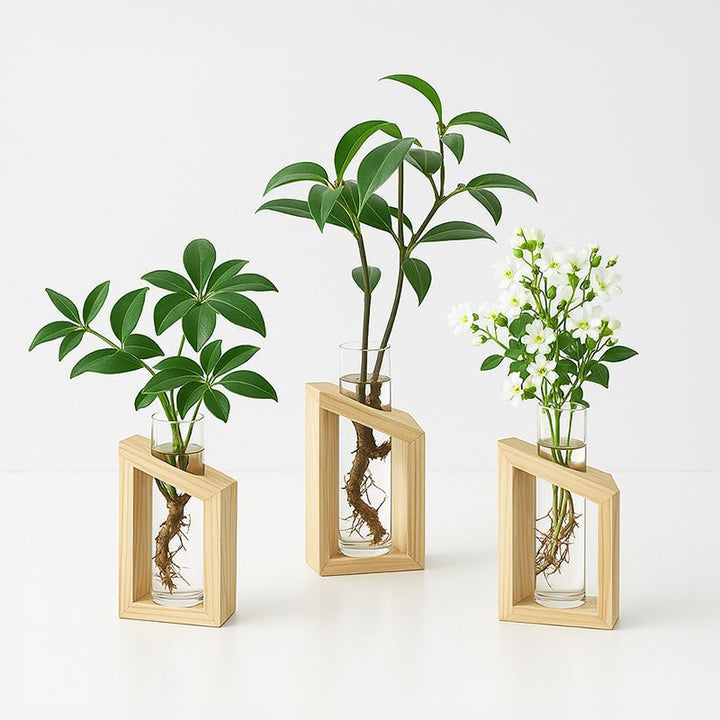 Elegant Glass Plant Holder Set for Home Decor
