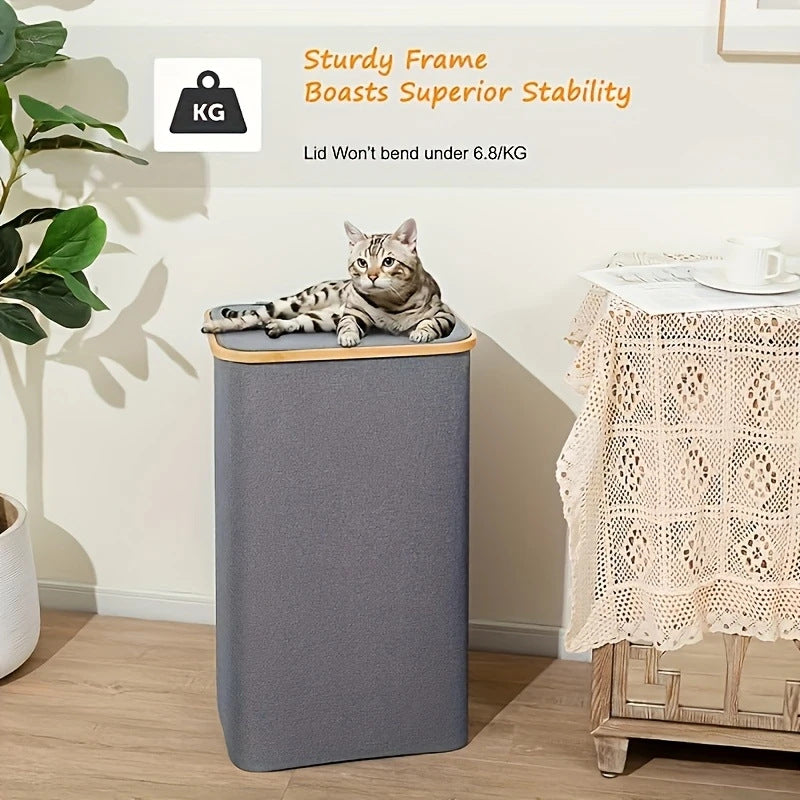 Versatile laundry container with lid and carrying handle Kalsten