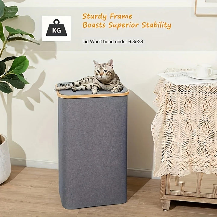 Versatile laundry container with lid and carrying handle Kalsten