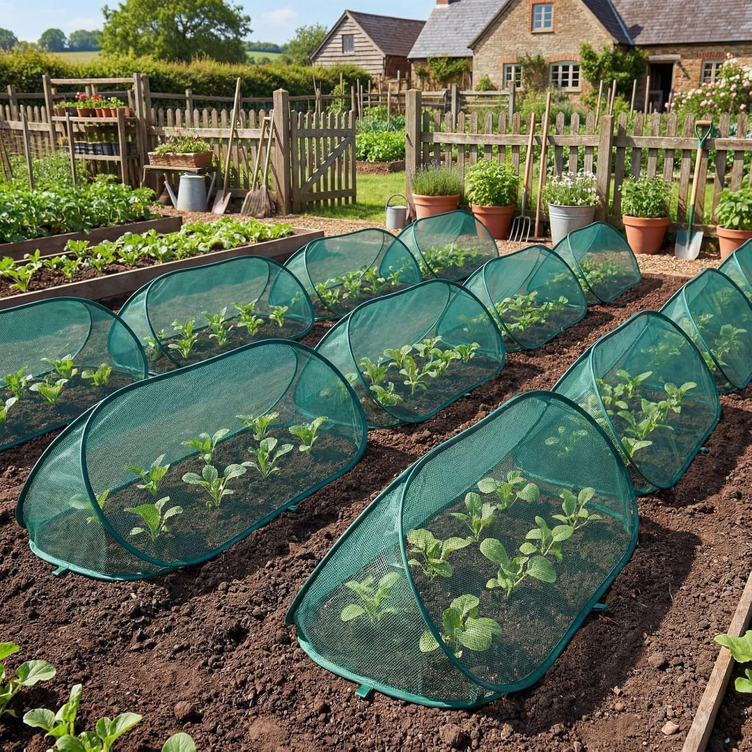 Garden Plant Protection Kalsten