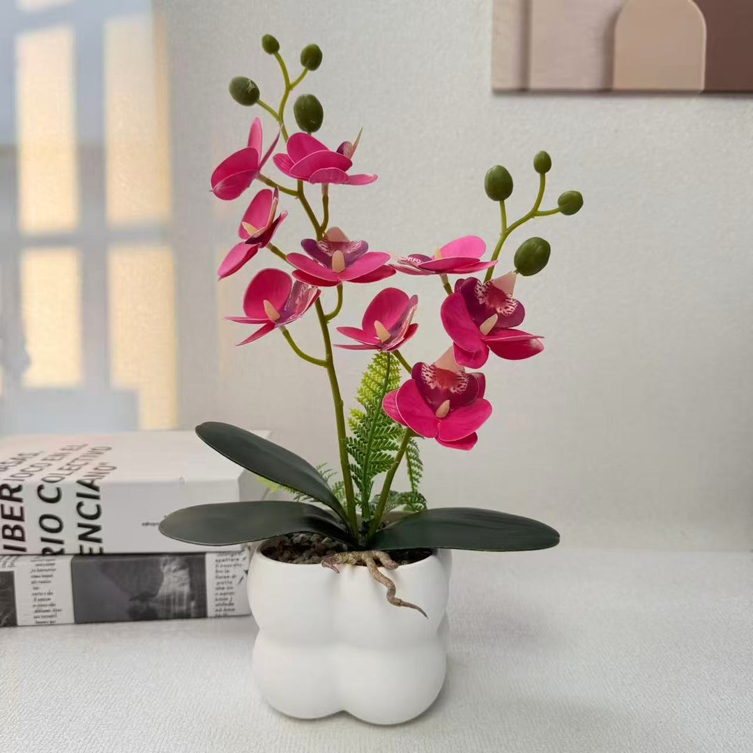 Decorative Artificial Orchid for Indoor Home Display