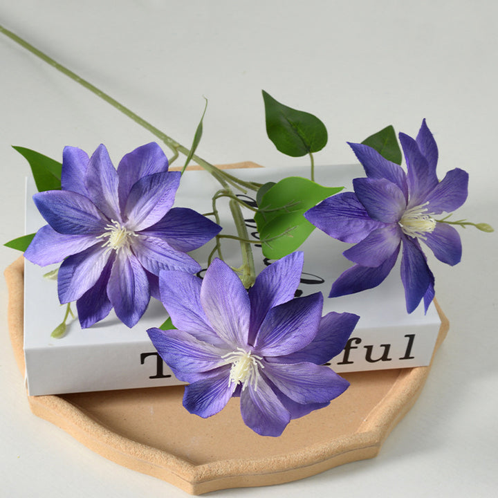 Decorative Floral Clematis Stem