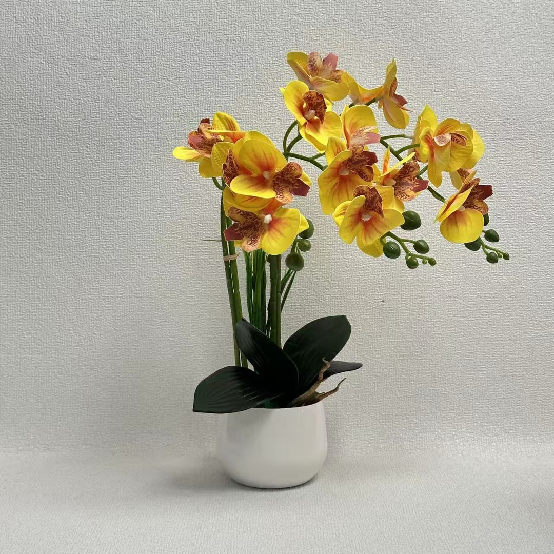 Exquisite Artificial Orchid Display