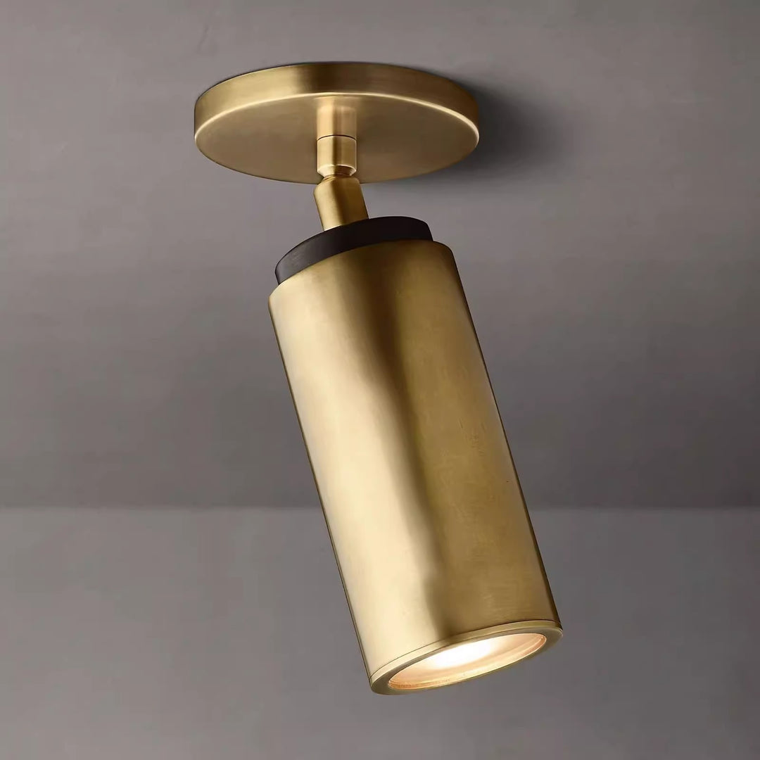 Modern Ceiling Light Fixture