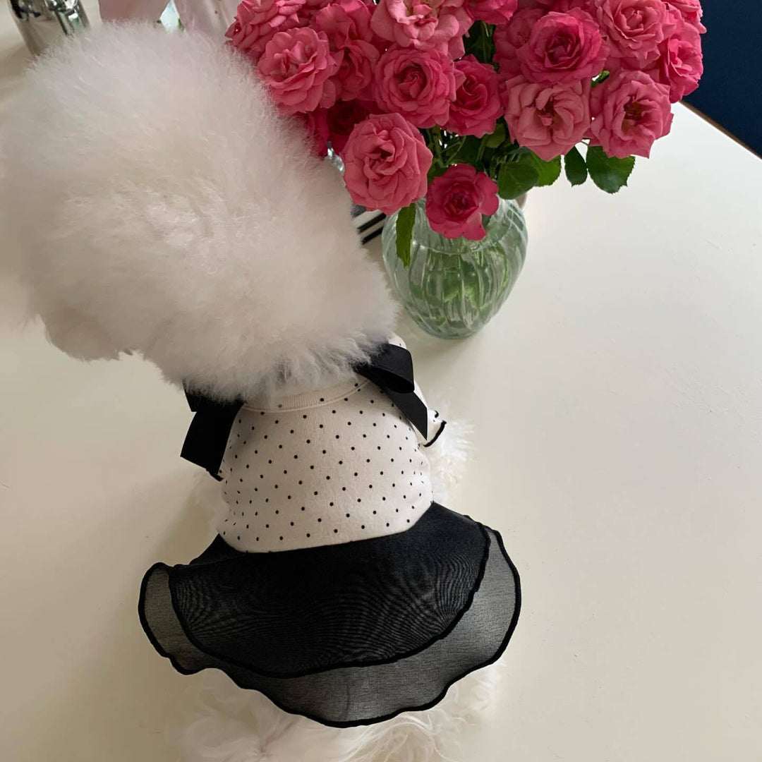 Polka Dot Chiffon Pet Dress with Grosgrain