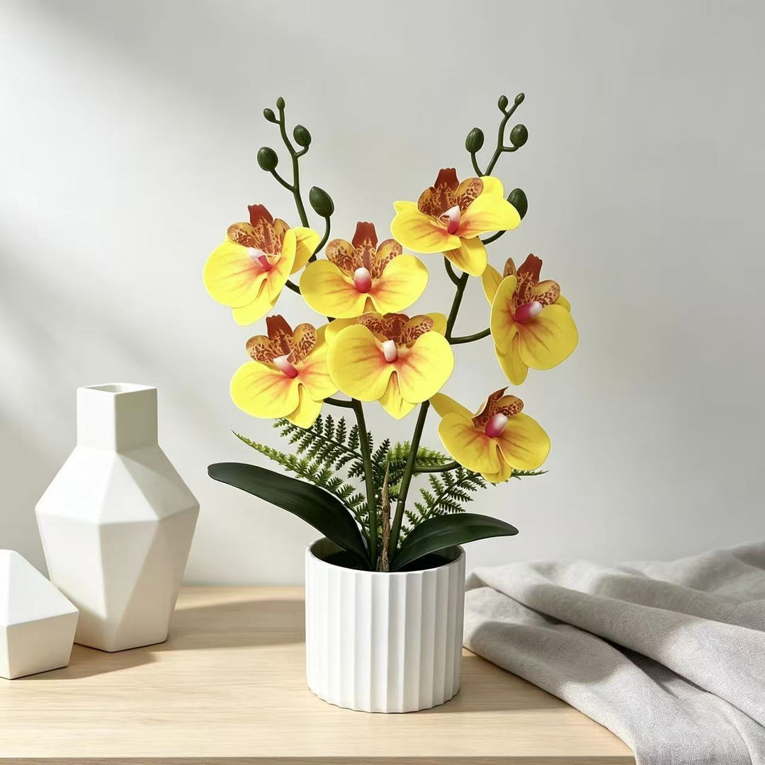 Realistic Orchid Plant Arrangement
