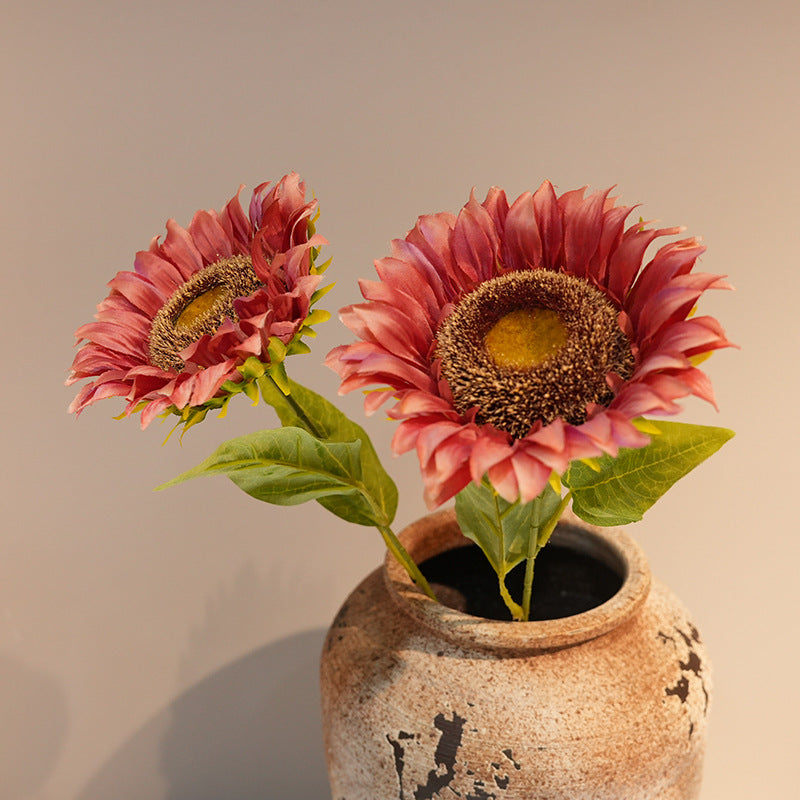 Decorative Plant Kalsten