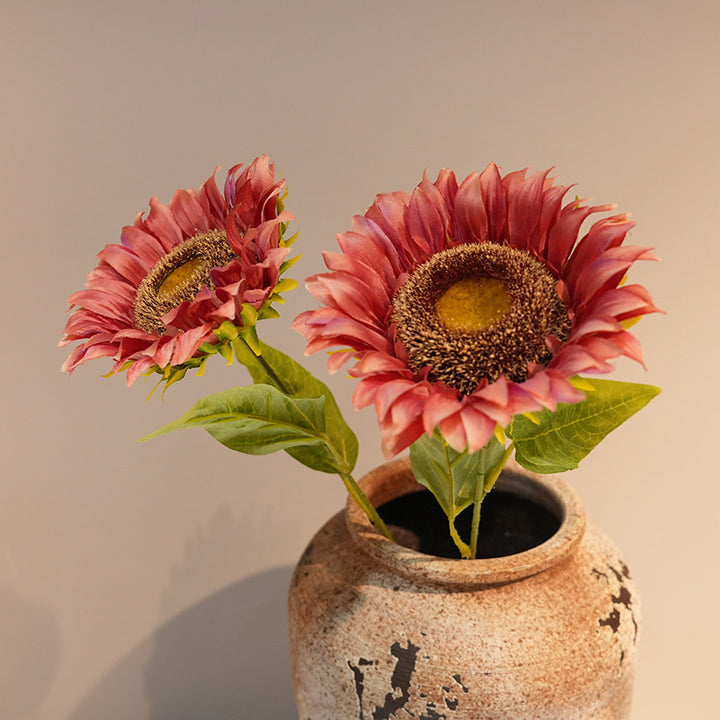 Decorative Plant Kalsten