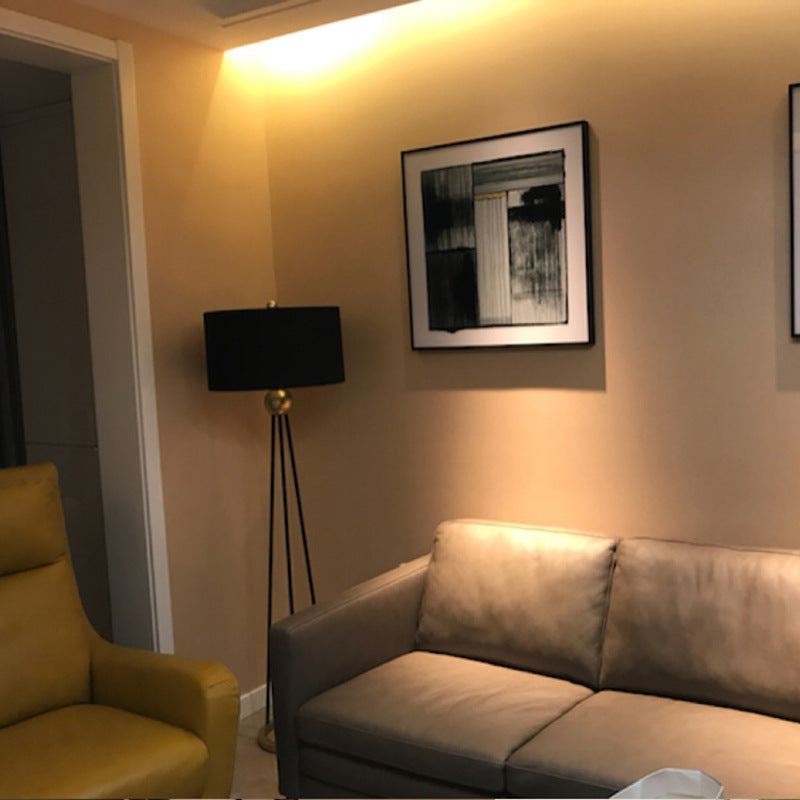 Contemporary Tripod Floor Lamp with Elegant Shade