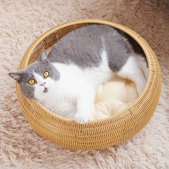 Cat bed with round rattan decoration Kalsten