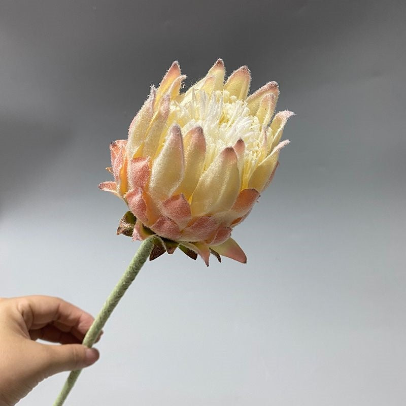 Lifelike Protea Flower Stem