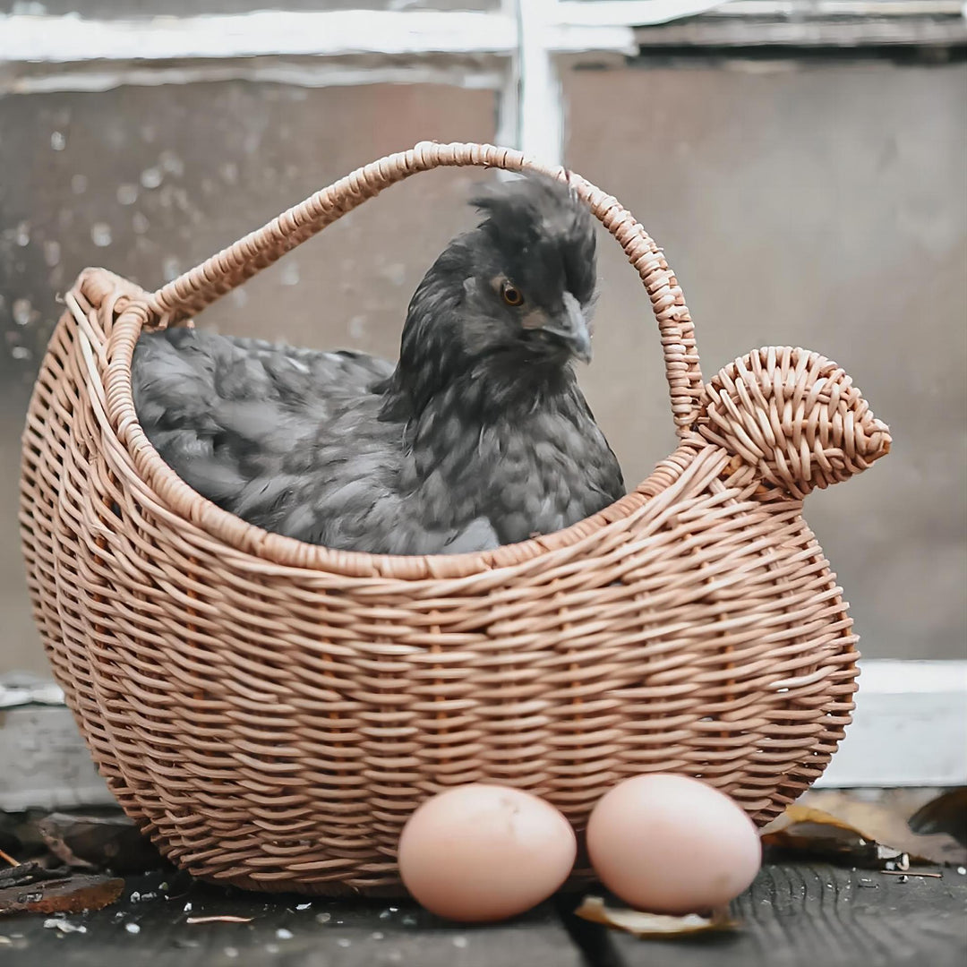 Decorative Wicker Kalsten