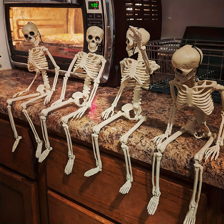 Anatomical teaching skeleton