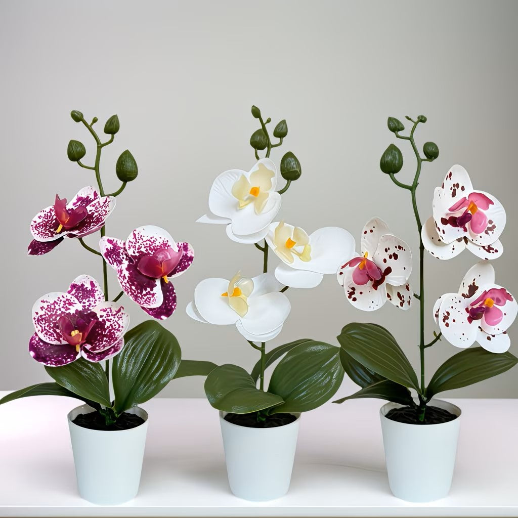 Realistic Faux Orchid Arrangement