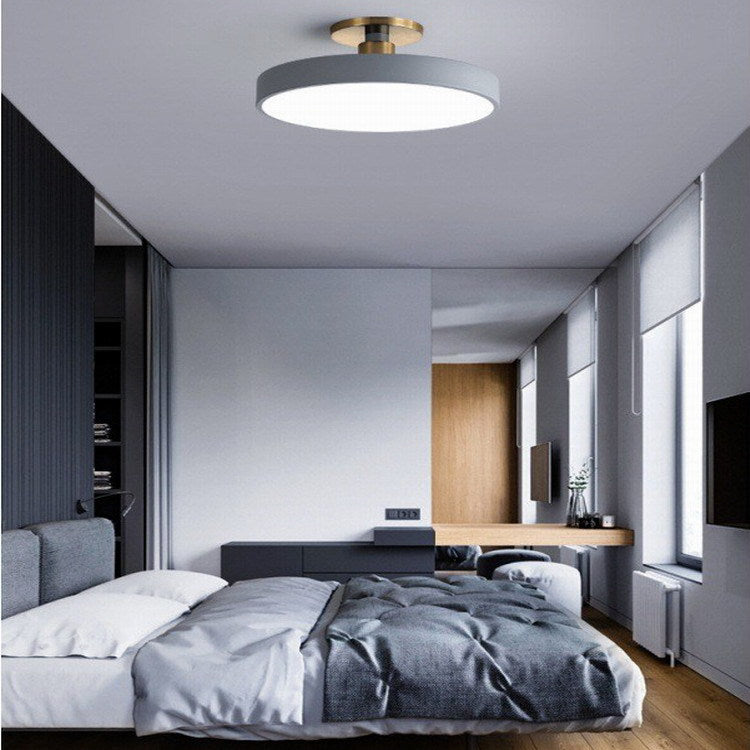 Contemporary Flush Mount Ceiling Light