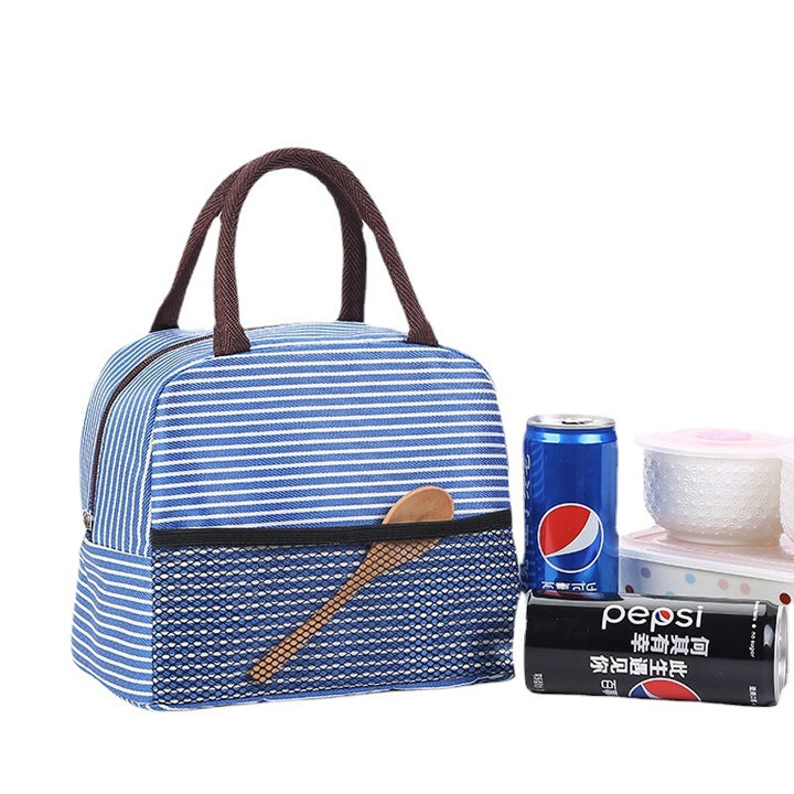 Stylish Insulated Lunch Carrier