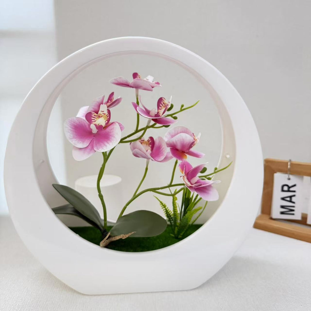 Decorative Orchid Display for Indoor Home Decor