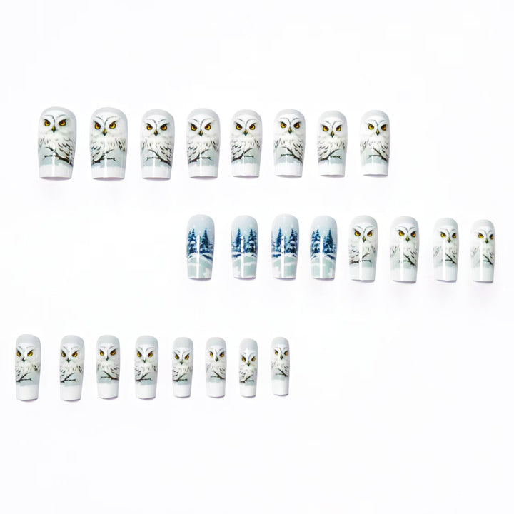 Artificial nails with owl design Kalsten