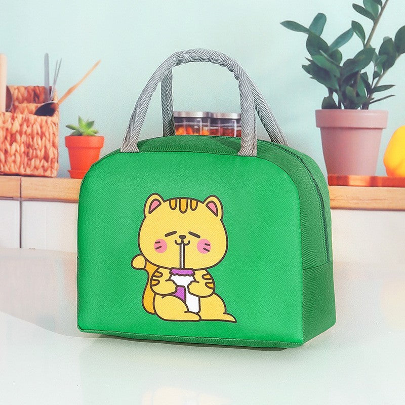Stylish Insulated Lunch Tote Bag